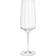 Georg Jensen Bernadotte Champagne Glass 27cl 6pcs