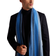Ted Baker Alfredy Striped Woven Scarf - Medium Blue