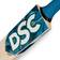 DSC Drake Kashmir Willow Cricket Bat Short Handle