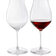 Riedel Performance Pinot Noir Red Wine Glass 85.8cl 2pcs