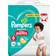 Pampers Baby Dry Pants Size 6 15+kg 58pcs