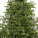 The Winter Workshop Englemanns Spruce Artificial Green Christmas Tree 213.4cm