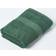 Homescapes 500 GSM Guest Towel Green (60x40cm)