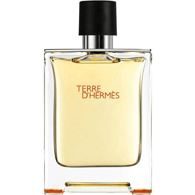 Hermès Terre D'Hermes EdT 50ml • See the Lowest Price